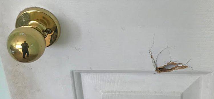 interior door hole repair Ashland