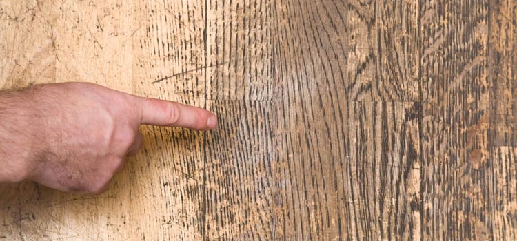 Wood Door Scratch Repair in Ashland